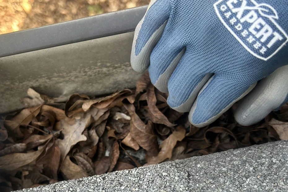 Gutter Cleaning Margaret